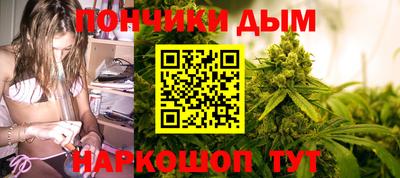 мдпв Гатчина
