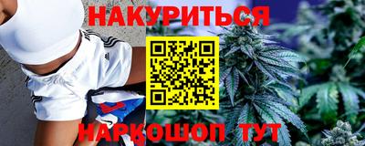 мдпв Гатчина