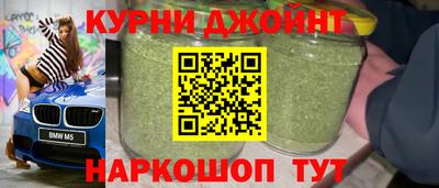 мдпв Гатчина
