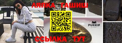 мдпв Гатчина