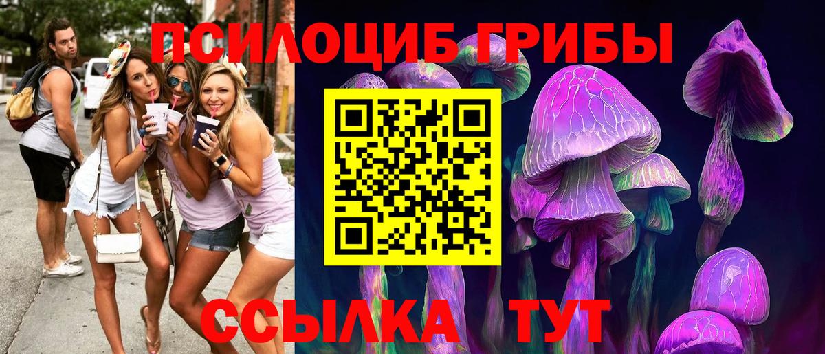 Галлюциногенные грибы Magic Shrooms  Вход с VPN  Новоалександровск 