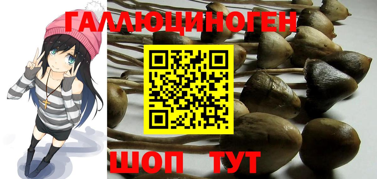 A PVP СК кристаллы  ЭКСТАЗИ  Новоалександровск  МЕФ кристаллы  Каннабис  Вход с VPN 